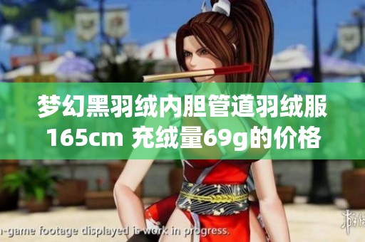 梦幻黑羽绒内胆管道羽绒服165cm 充绒量69g的价格是多少