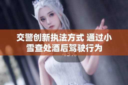 交警创新执法方式 通过小雪查处酒后驾驶行为