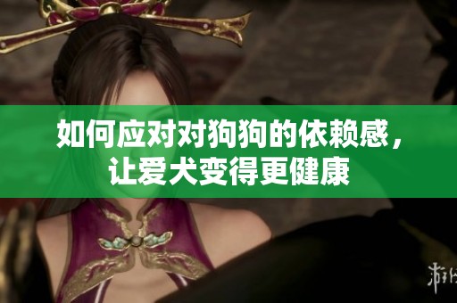 如何应对对狗狗的依赖感，让爱犬变得更健康