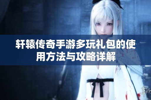 轩辕传奇手游多玩礼包的使用方法与攻略详解