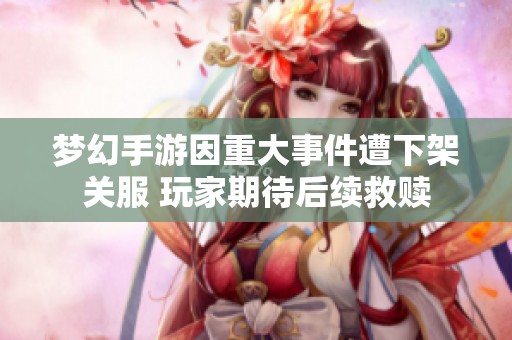 梦幻手游因重大事件遭下架关服 玩家期待后续救赎