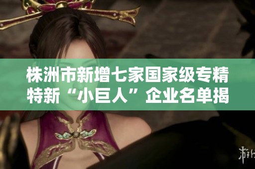 株洲市新增七家国家级专精特新“小巨人”企业名单揭晓