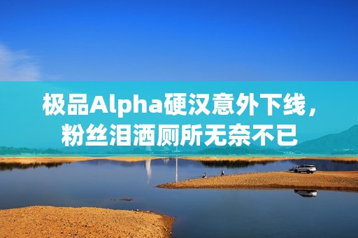 极品Alpha硬汉意外下线，粉丝泪洒厕所无奈不已