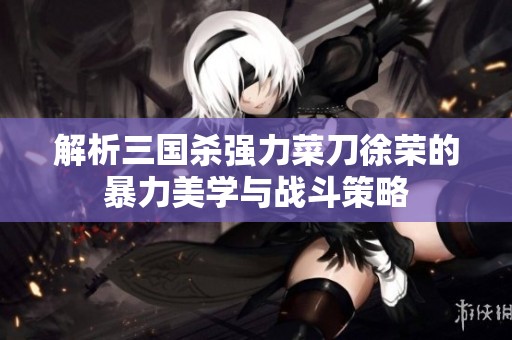 解析三国杀强力菜刀徐荣的暴力美学与战斗策略