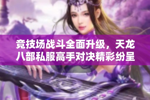 竞技场战斗全面升级，天龙八部私服高手对决精彩纷呈！