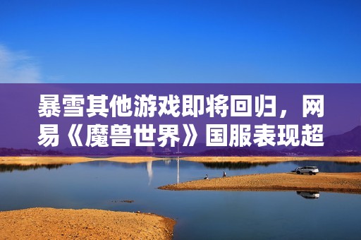 暴雪其他游戏即将回归，网易《魔兽世界》国服表现超出预期