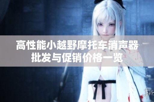高性能小越野摩托车消声器批发与促销价格一览