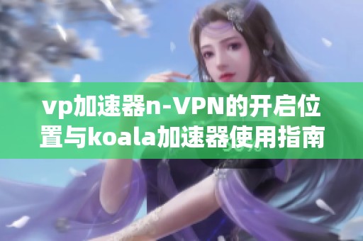 vp加速器n-VPN的开启位置与koala加速器使用指南