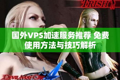 国外VPS加速服务推荐 免费使用方法与技巧解析