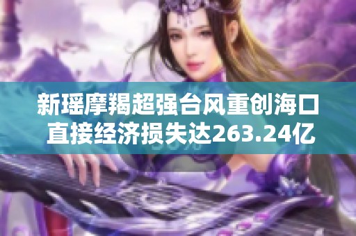 新瑶摩羯超强台风重创海口 直接经济损失达263.24亿元