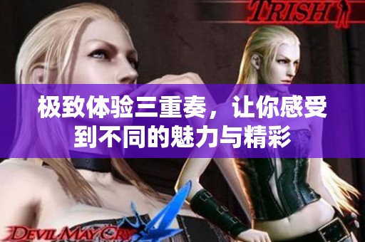 极致体验三重奏，让你感受到不同的魅力与精彩