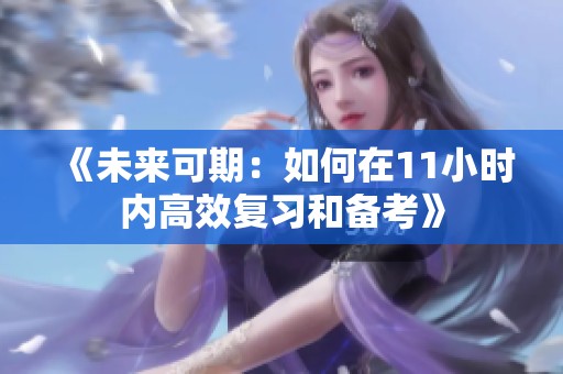 《未来可期：如何在11小时内高效复习和备考》