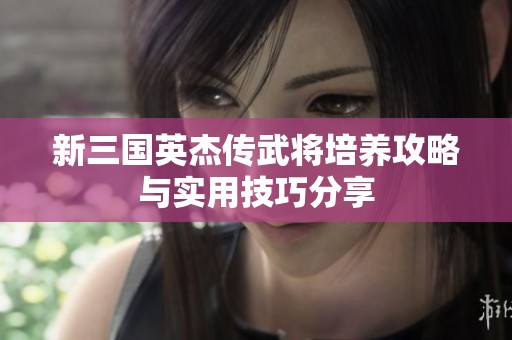 新三国英杰传武将培养攻略与实用技巧分享