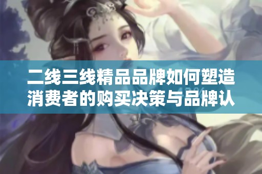 二线三线精品品牌如何塑造消费者的购买决策与品牌认知