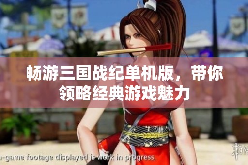 畅游三国战纪单机版，带你领略经典游戏魅力