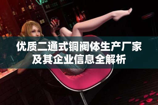 优质二通式铜阀体生产厂家及其企业信息全解析