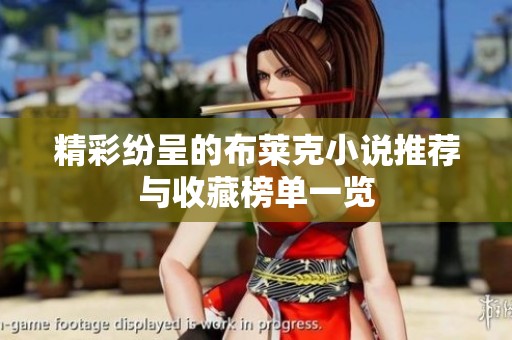 精彩纷呈的布莱克小说推荐与收藏榜单一览