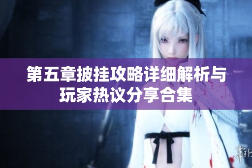 第五章披挂攻略详细解析与玩家热议分享合集