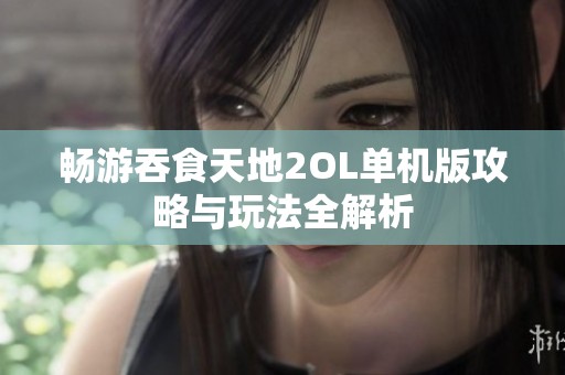 畅游吞食天地2OL单机版攻略与玩法全解析