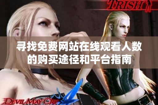 寻找免费网站在线观看人数的购买途径和平台指南