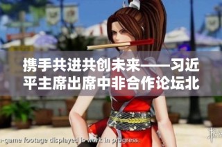 携手共进共创未来——习近平主席出席中非合作论坛北京峰会纪实