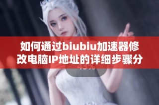 如何通过biubiu加速器修改电脑IP地址的详细步骤分析