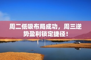 周二低吸布局成功，周三逆势盈利锁定捷径！