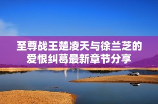 至尊战王楚凌天与徐兰芝的爱恨纠葛最新章节分享