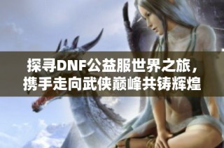 探寻DNF公益服世界之旅，携手走向武侠巅峰共铸辉煌