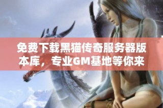 免费下载黑猫传奇服务器版本库，专业GM基地等你来探索
