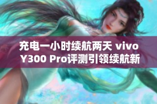 充电一小时续航两天 vivo Y300 Pro评测引领续航新时代