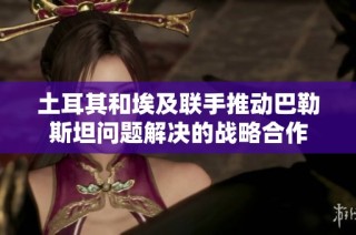 土耳其和埃及联手推动巴勒斯坦问题解决的战略合作