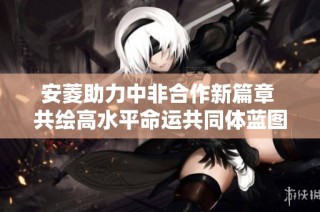 安菱助力中非合作新篇章 共绘高水平命运共同体蓝图
