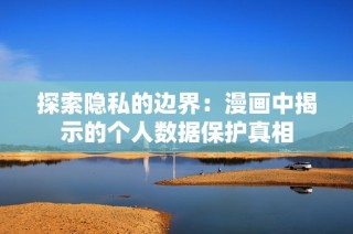 探索隐私的边界：漫画中揭示的个人数据保护真相