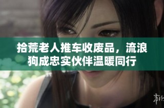 拾荒老人推车收废品，流浪狗成忠实伙伴温暖同行