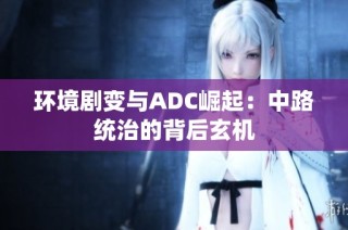 环境剧变与ADC崛起：中路统治的背后玄机