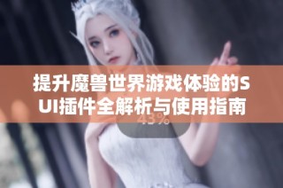 提升魔兽世界游戏体验的SUI插件全解析与使用指南