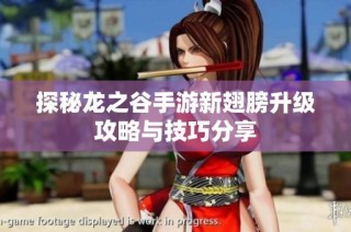 探秘龙之谷手游新翅膀升级攻略与技巧分享