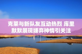克莱与新队友互动热烈 库里默默展现嫌弃神情引关注