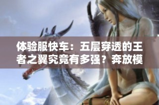 体验服快车：五层穿透的王者之翼究竟有多强？奔放模式再掀新潮流
