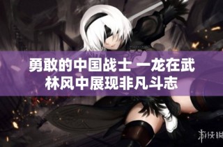 勇敢的中国战士 一龙在武林风中展现非凡斗志