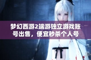 梦幻西游2端游独立游戏账号出售，便宜秒杀个人号
