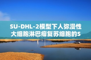 SU-DHL-2模型下人弥漫性大细胞淋巴瘤复苏细胞的STR鉴定研究分析