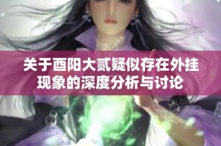 关于酉阳大贰疑似存在外挂现象的深度分析与讨论