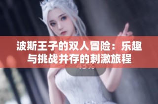 波斯王子的双人冒险：乐趣与挑战并存的刺激旅程