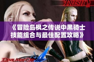 《冒险岛枫之传说中黑骑士技能组合与最佳配置攻略》