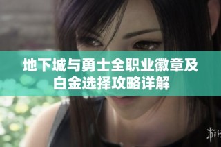 地下城与勇士全职业徽章及白金选择攻略详解