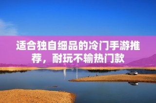 适合独自细品的冷门手游推荐，耐玩不输热门款