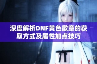 深度解析DNF黄色徽章的获取方式及属性加点技巧