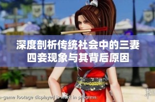 深度剖析传统社会中的三妻四妾现象与其背后原因